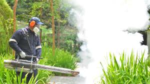 Best Pest Exclusion Services  in Rice, MN